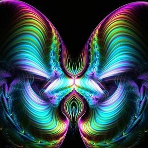 Meet your Posher, Tonia